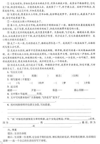 2018年上海小升初考试语文综合练习题八3