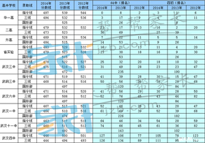 2019武汉小升初：硚口区名初中考成绩