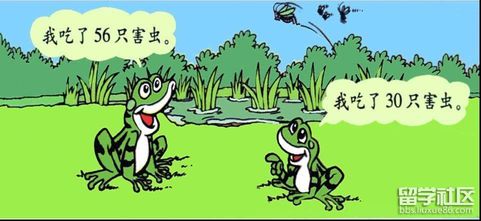 青蛙是人类的朋友作文