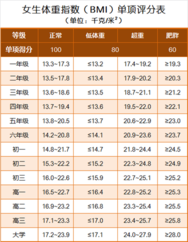 体侧标准