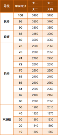 体侧标准