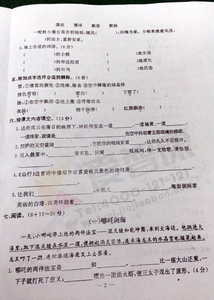 南京小学期中试卷