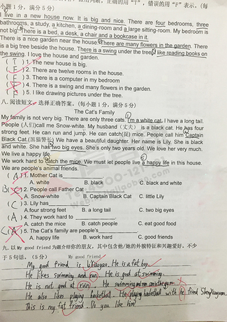 南京小学期中试卷