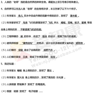 南京小学单元知识点归纳