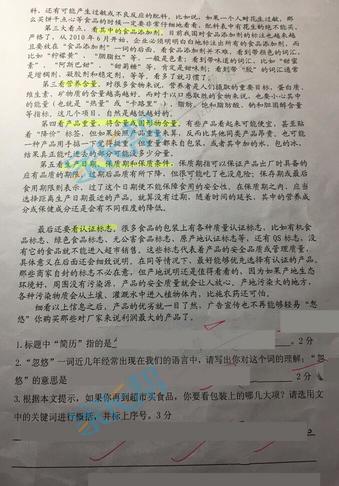 南京小学期中试卷