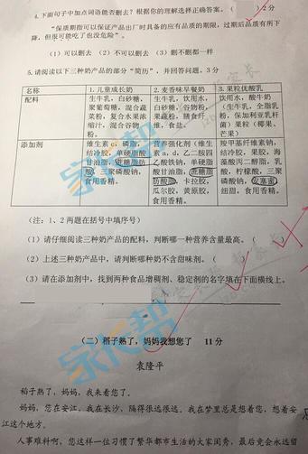 南京小学期中试卷