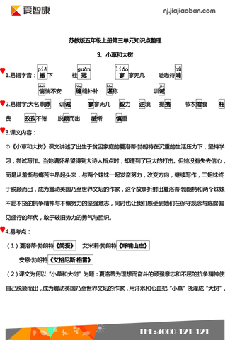 语文期中复习