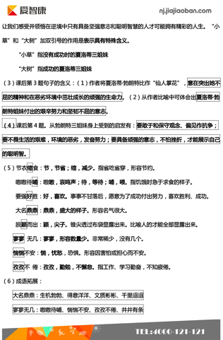 语文期中复习