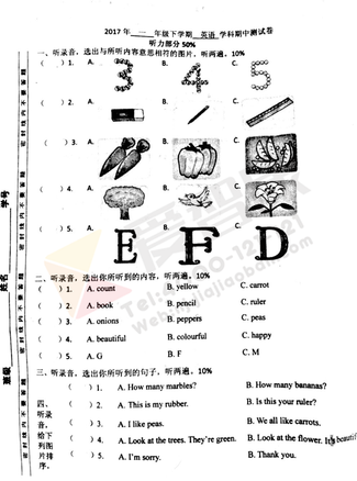 2019南京小学期中试卷