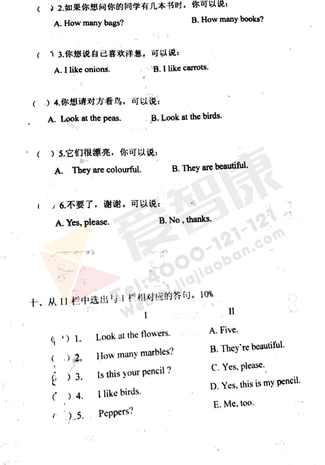 2019南京小学期中试卷