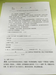 南京小学期中试卷