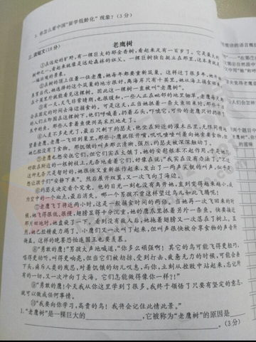 2019-2019南京期末试卷