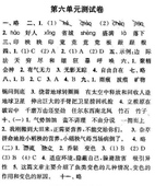 2019南京小学期末辅导
