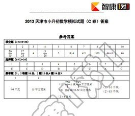 2013小升初小外中学小卷模拟考试数学答案