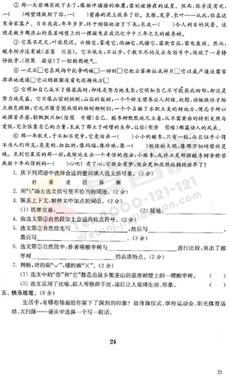 2019年小学期中模拟试卷答案