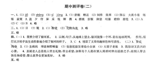 2019年小学期中模拟试卷答案