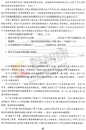 2019年小学期末模拟试卷答案