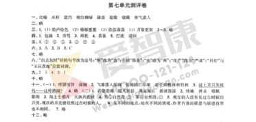 南京小学单元测试题及答案