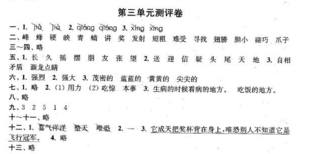 南京小学单元测试题及答案