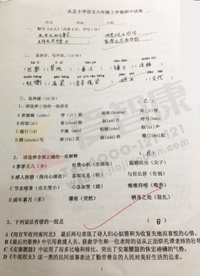 南京小学期中试卷