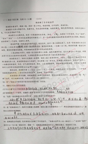 南京小学期中试卷