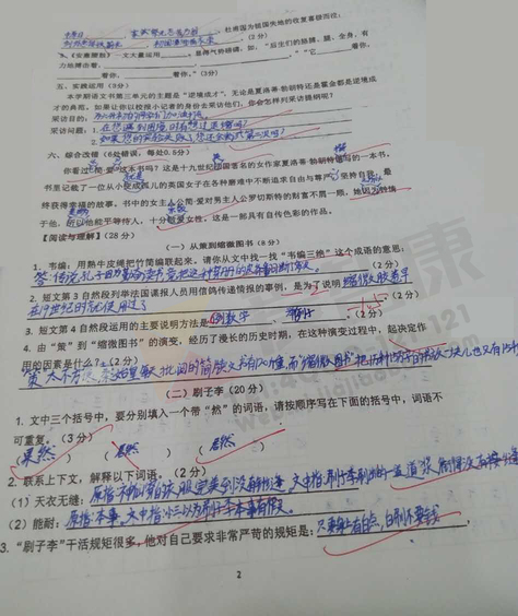 南京小学期中试卷