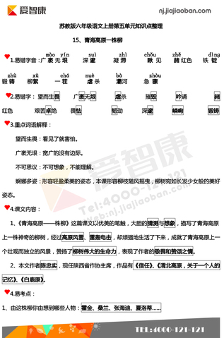 2019南京小学期末辅导