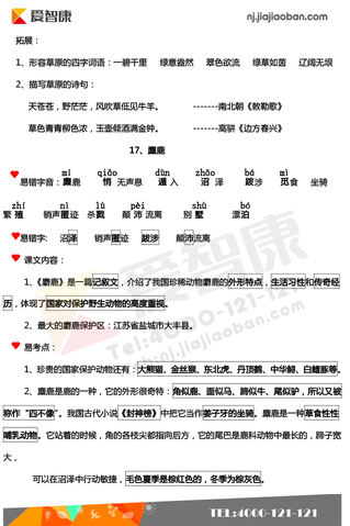 2019南京小学期末辅导
