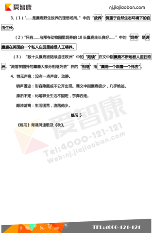 2019南京小学期末辅导