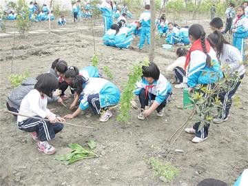 学校开辟4亩“开心农场” 700学生上课学种地