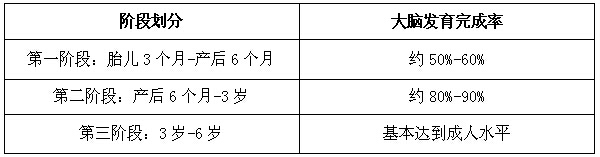 妈妈看过来！一辈子仅一次的智力发育黄金期