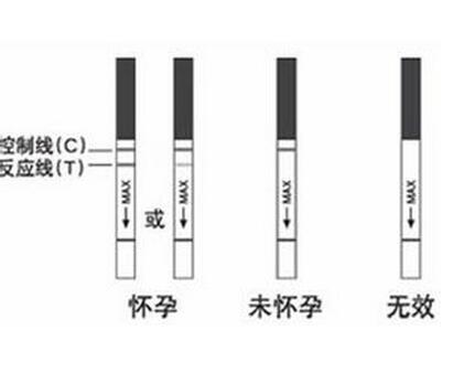 排卵试纸能测早孕吗2