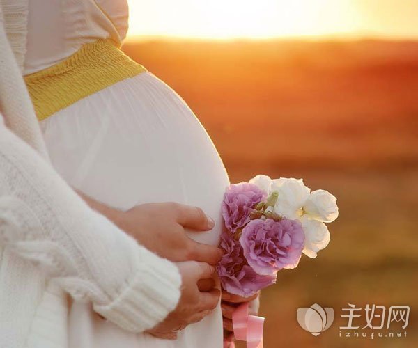 孕妇适合养什么花草