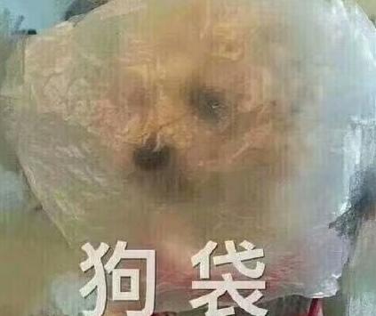 我的马鸭是什么意思