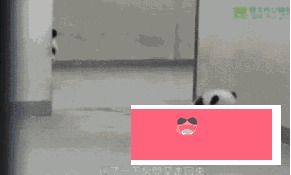 微信图片_20190516170911.gif