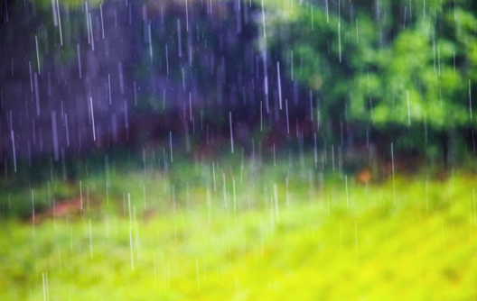 梅雨天发朋友圈心情说说 2018梅雨天怎么发说说句子短语