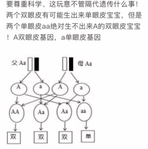 单眼皮父母能生出双眼皮孩子吗 单眼皮生不出双眼皮吗