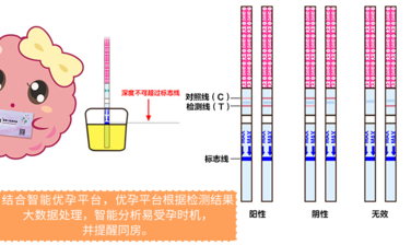 排卵试纸怎么看是否怀孕 排卵试纸怎么看结果