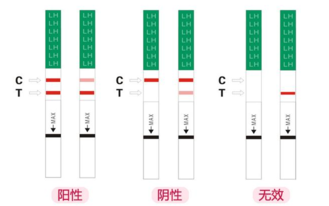 排卵试纸强阳后多久会排卵 排卵试纸强阳什么时候容易怀孕 