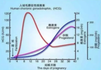 HCG翻倍怎么算 HCG翻倍不好要保胎吗