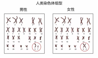 2019年1月8号行房受孕生男生女 农历腊月初三怀孕生男孩还是女孩