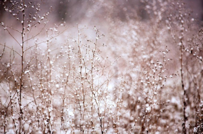 冬天下雪了唯美的句子 冬天下雪了发什么说说比较好