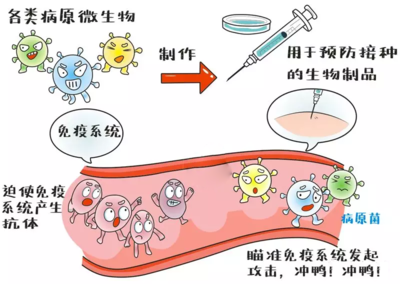 手足口病高发期打疫苗来得及吗 手足口病疫苗打了发烧是什么原因